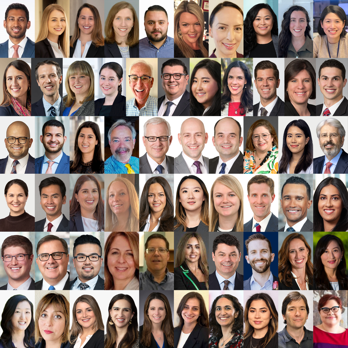 Headshots of Pro Bono Volunteers.